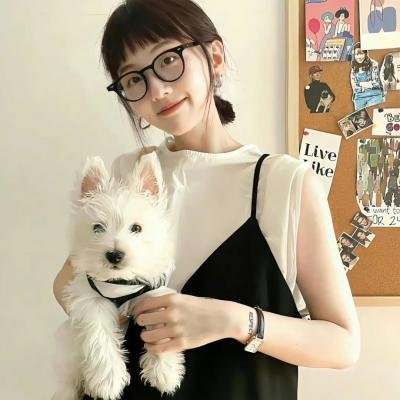警视厅遗失物搜查档案